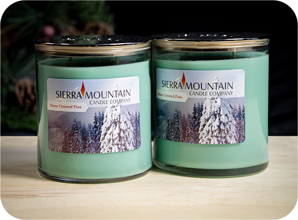 Two snow covered pine candles next to each other