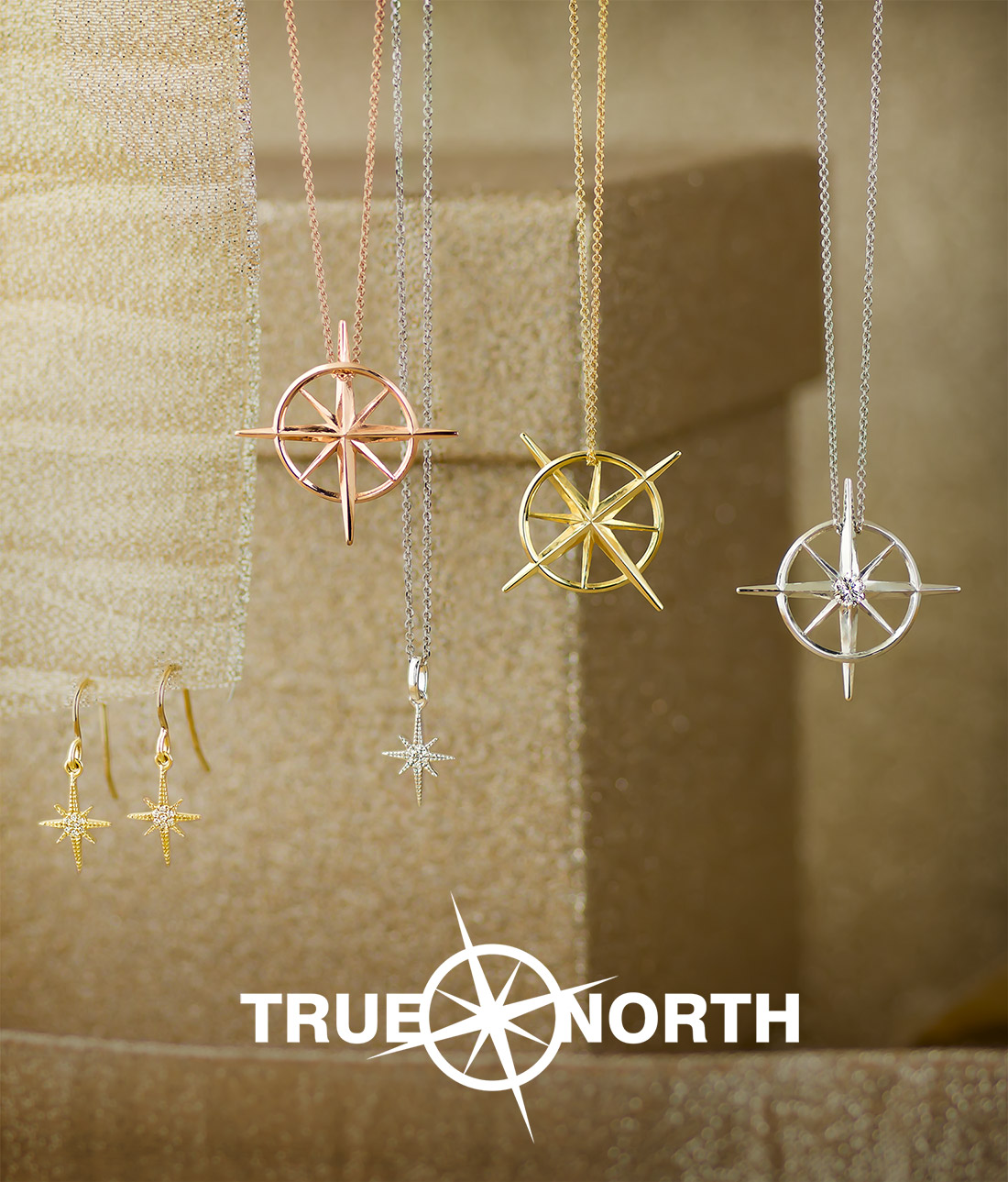 True North - Always be true to your North Star